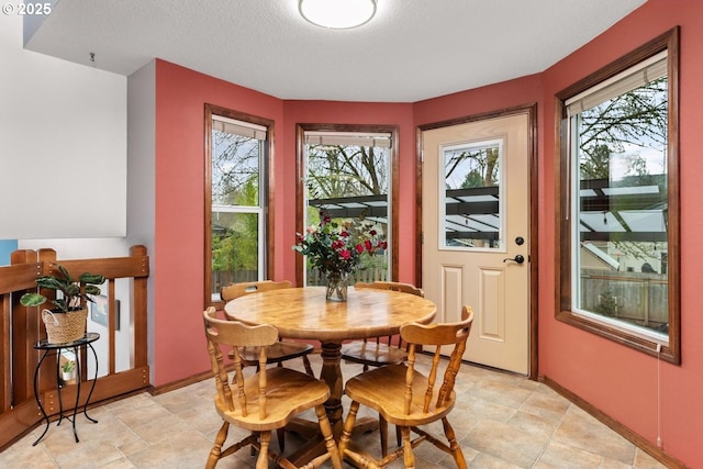 dining room with a wealth of natural light and a textured ceiling