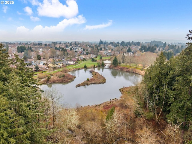 birds eye view of property featuring a water view