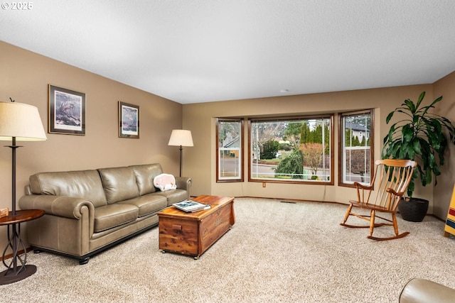 living area with baseboards, carpet floors, and a textured ceiling