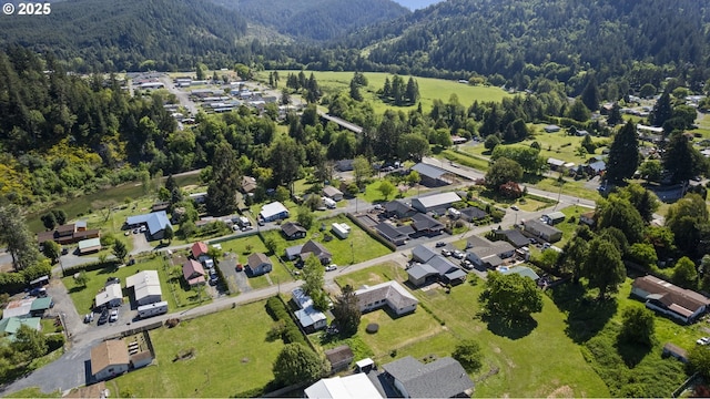 151 E Date St, Powers, OR 97466 - aerial view of property's location with a forest, nearby suburban area, and mountains