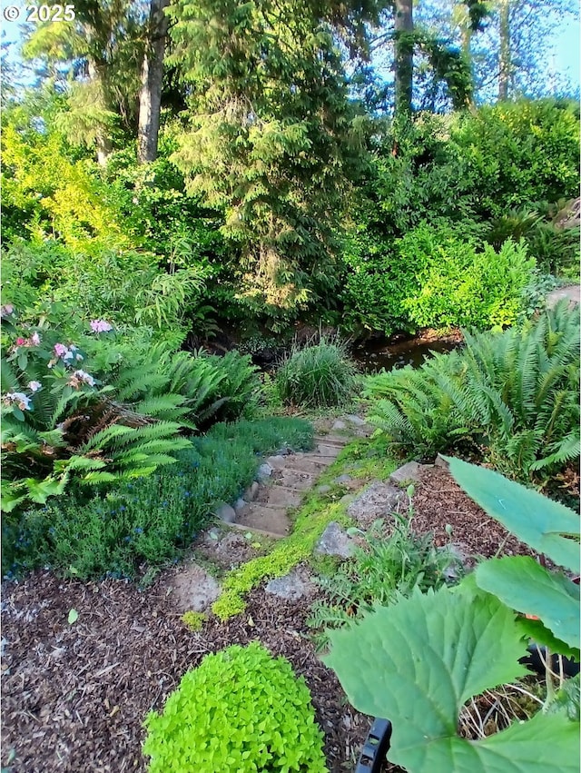 9655 8th St, Bay City, OR 97107 - view of yard