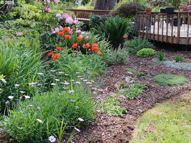 9655 8th St, Bay City, OR 97107 - view of yard with a wooden deck