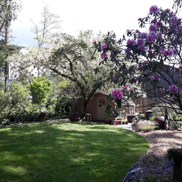 9655 8th St, Bay City, OR 97107 - view of green lawn