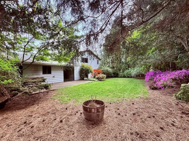 view of yard featuring a patio area