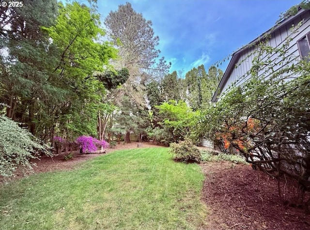view of yard