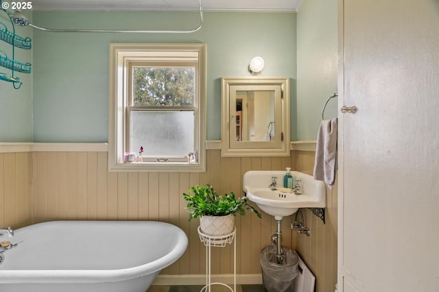 bathroom featuring a bathing tub