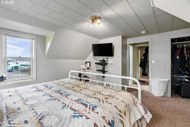 carpeted bedroom featuring a closet and lofted ceiling