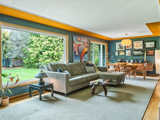 living room featuring wood finished floors and a textured ceiling