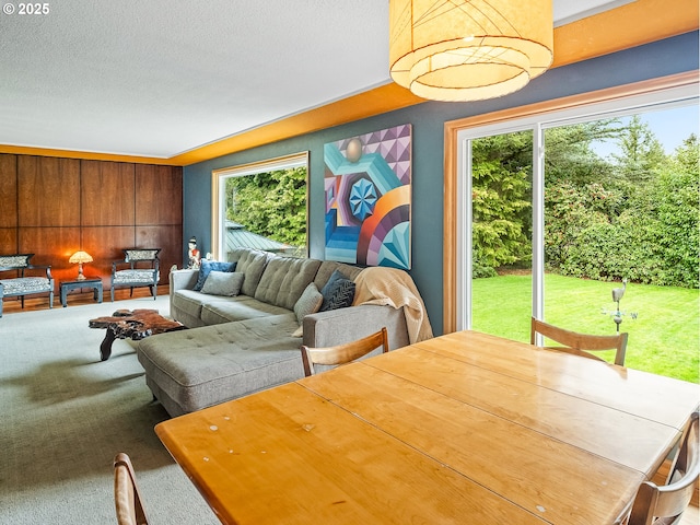 living room featuring carpet flooring and a textured ceiling