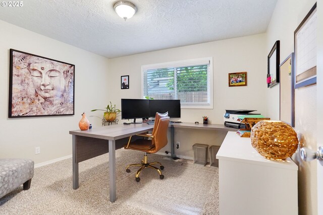 office with carpet, a textured ceiling, and baseboards