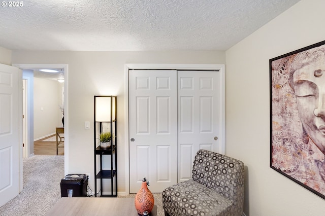 living area featuring a textured ceiling and carpet