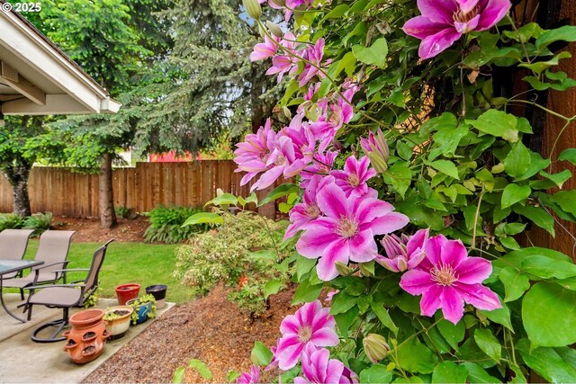 view of yard featuring fence