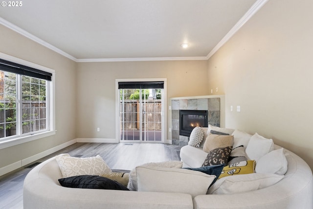 living area featuring wood finished floors, ornamental molding, baseboards, and a fireplace