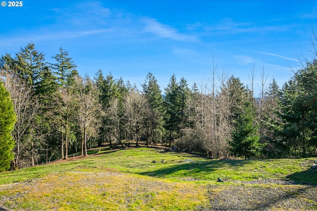 Listing photo 3 for 0 SE Dorset Ln, Happy Valley OR 97086