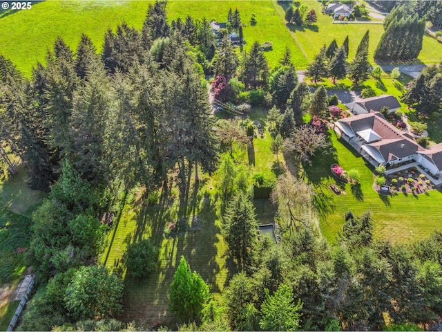 22405 NE 167th Ave, Battle Ground, WA 98604 - aerial view