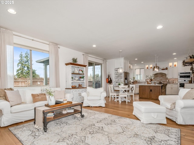 living room with light hardwood / wood-style flooring and a wealth of natural light