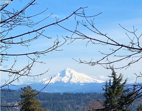view of mountain background featuring a forest