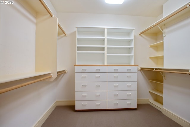 walk in closet with carpet floors