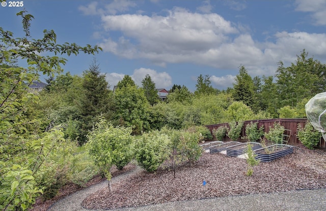 530 N Helens View Dr, Ridgefield, WA 98642 - view of yard featuring a garden