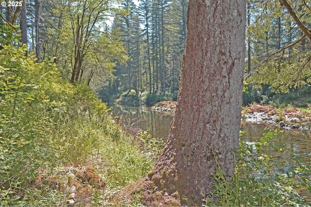 30703 NE Olson Rd, Yacolt, WA 98675