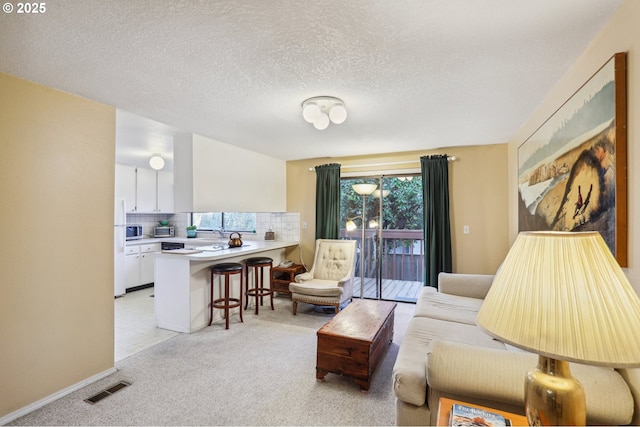 carpeted living room with a textured ceiling