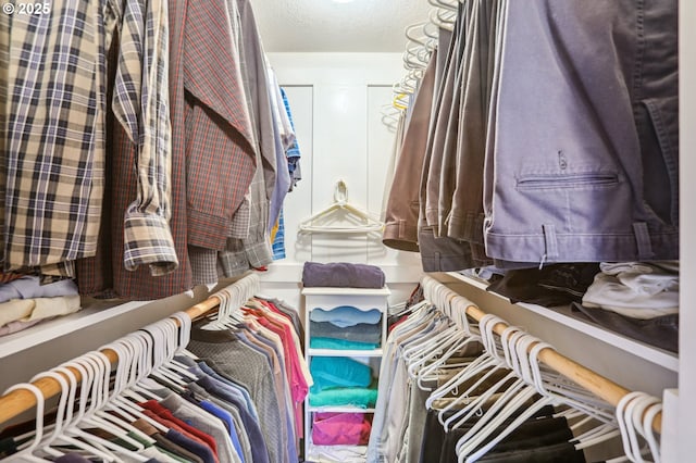 view of spacious closet