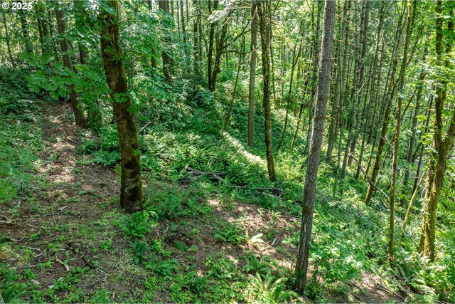 32468 Dillard Rd, Eugene, OR 97405 - view of tree filled area