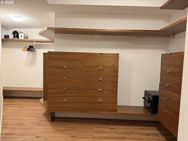 spacious closet with light wood-style floors