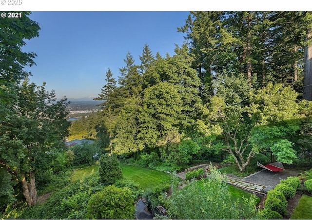 view of landscape with a wooded view