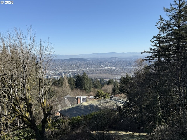 property view of mountains featuring a forest view