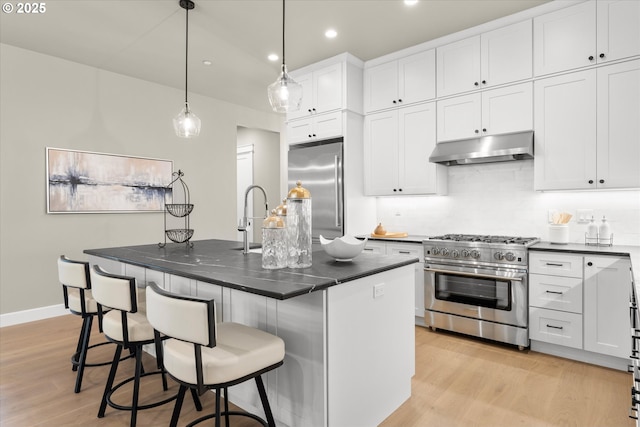 15007 Twin Fir Rd, Lake Oswego, OR 97035 - kitchen with stainless steel appliances, under cabinet range hood, light wood-style flooring, recessed lighting, and backsplash