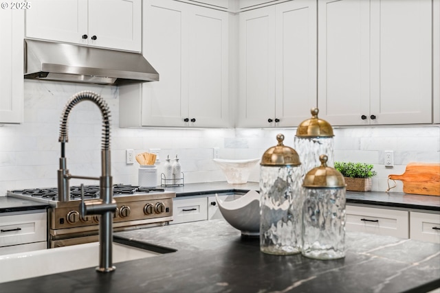 15007 Twin Fir Rd, Lake Oswego, OR 97035 - kitchen with under cabinet range hood, tasteful backsplash, dark stone countertops, and white cabinetry