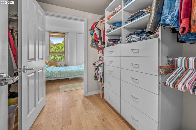 walk in closet featuring light wood-style flooring
