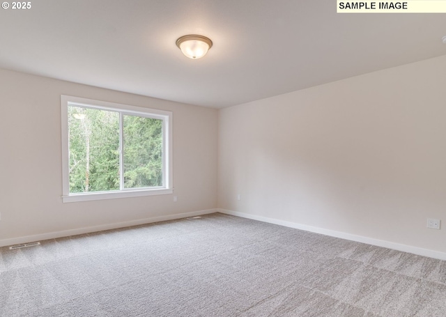 spare room with carpet