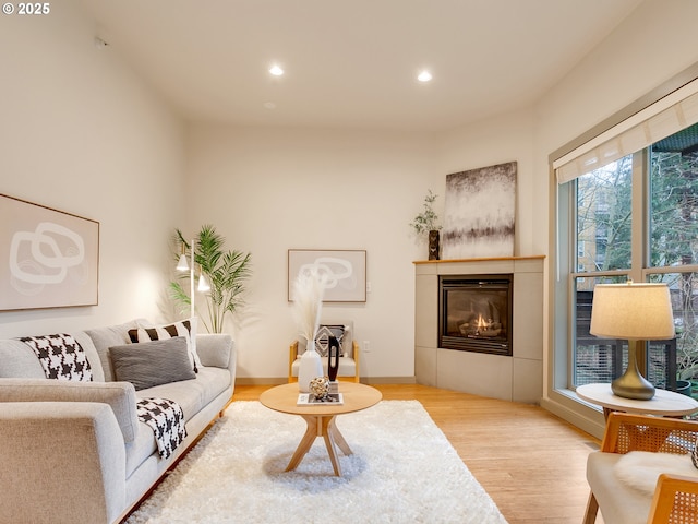 living room featuring light hardwood / wood-style floors