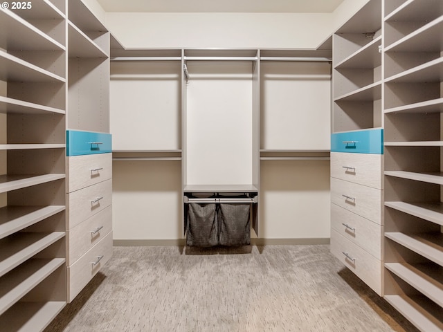 spacious closet with carpet floors