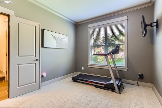 8326 SW Oak St, Portland, OR 97223 - workout room with crown molding and carpet