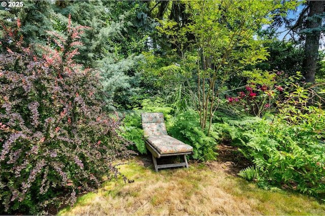 3116 SE 74th Ave, Portland, OR 97206 - view of yard