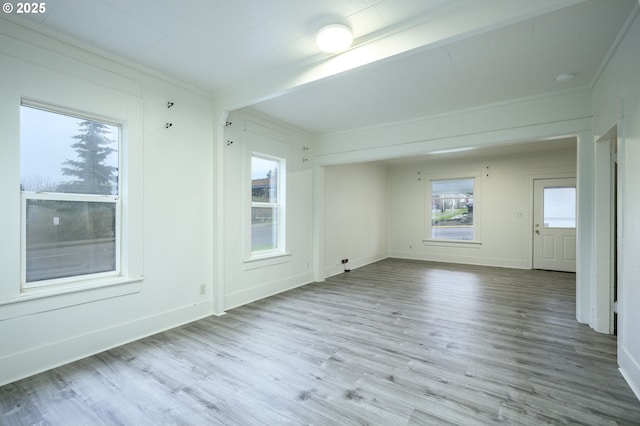 spare room featuring light hardwood / wood-style floors and ornamental molding