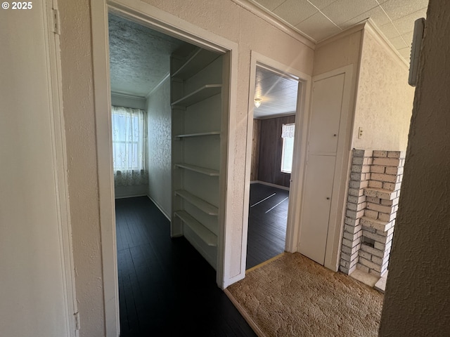 corridor featuring dark wood-style floors, ornamental molding, a textured ceiling, and a textured wall