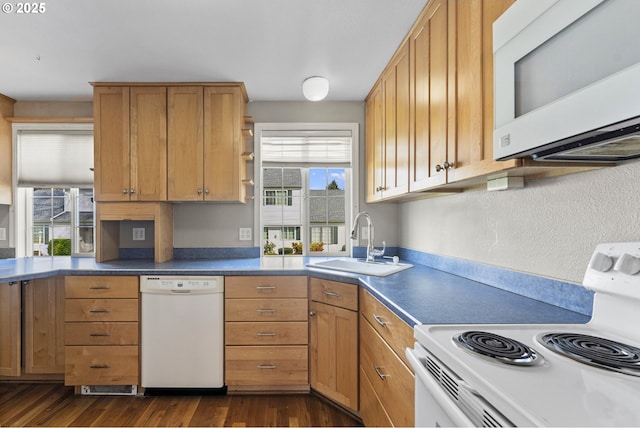 kitchen with dark wood-type flooring, white appliances, a sink, and a healthy amount of sunlight