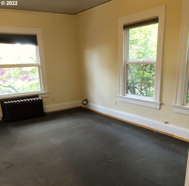 spare room with carpet floors, a wealth of natural light, and radiator heating unit