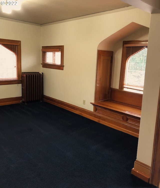 unfurnished room with radiator and carpet