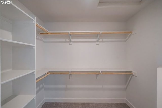 walk in closet featuring carpet flooring