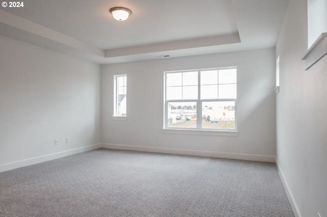 unfurnished room with carpet floors, a tray ceiling, and baseboards