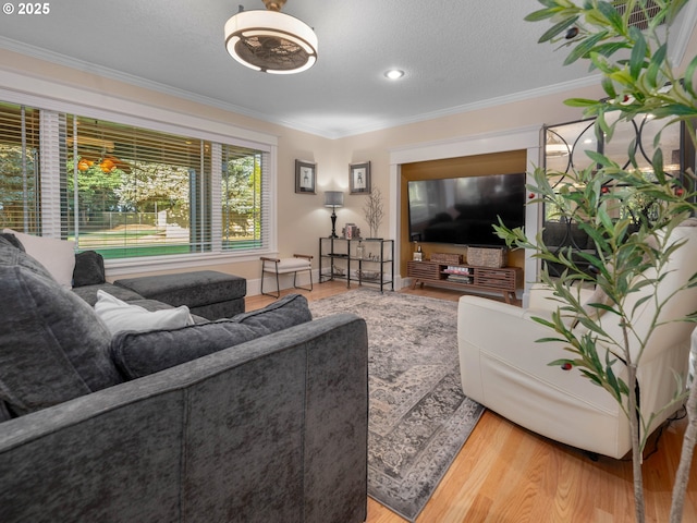 living room featuring a textured ceiling, wood-type flooring, and crown molding