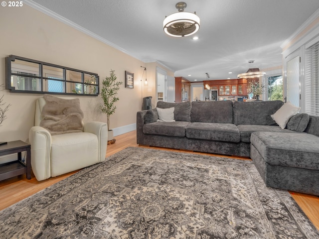 living room featuring hardwood / wood-style flooring, ornamental molding, and a textured ceiling