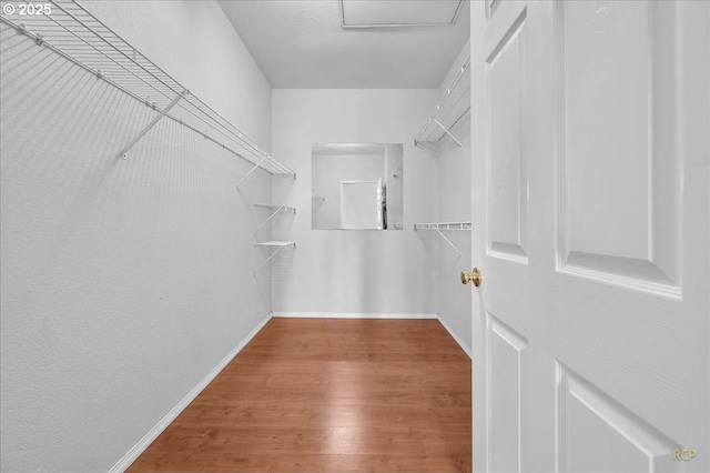 spacious closet featuring wood finished floors