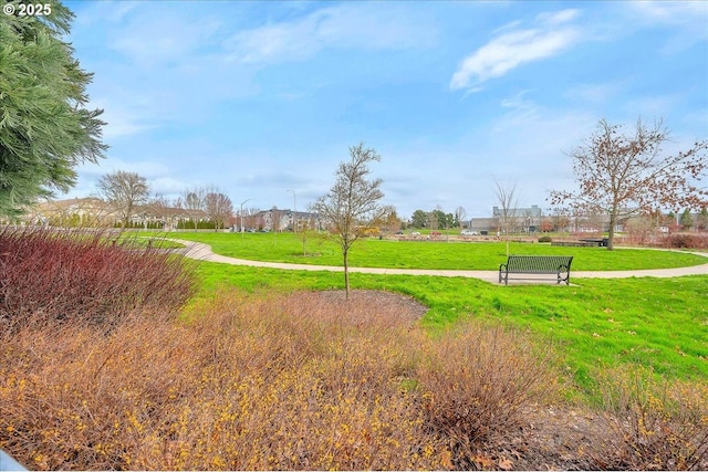 view of property's community featuring a lawn