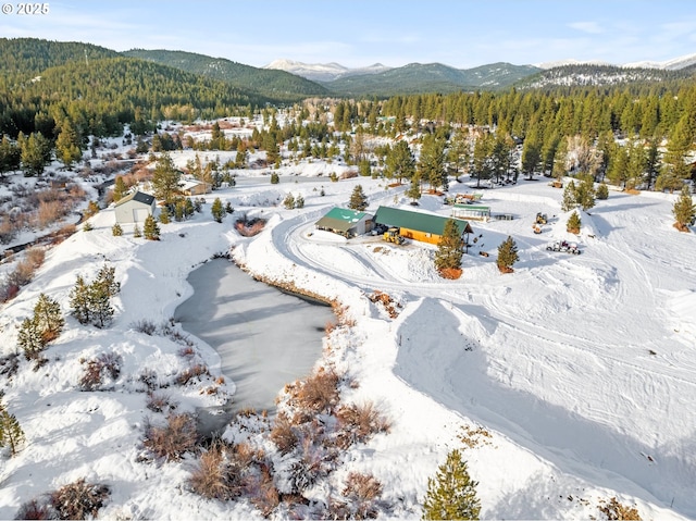 snowy aerial view with a view of trees and a mountain view